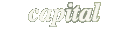 Capital